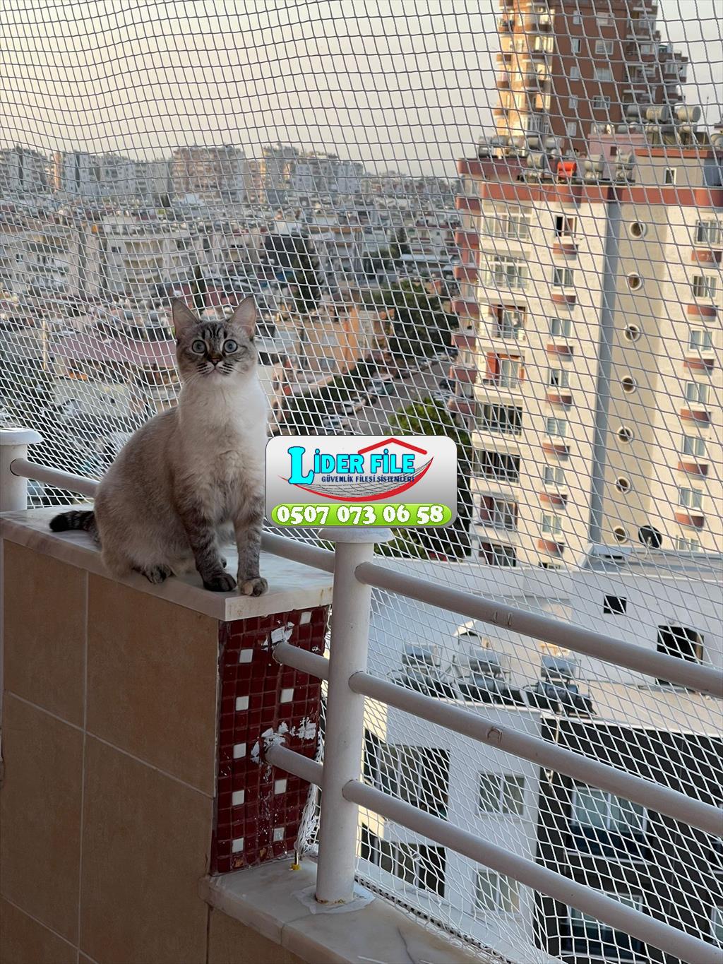 Balkon Filesi Kedi Koruma Filesi Kedi Filesi Uygulaması 0507 447 56 68